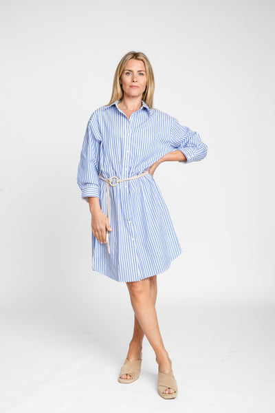 The Wide Striped Oxford Dress | Blue + White