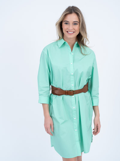 The Solid Oxford Dress | Green